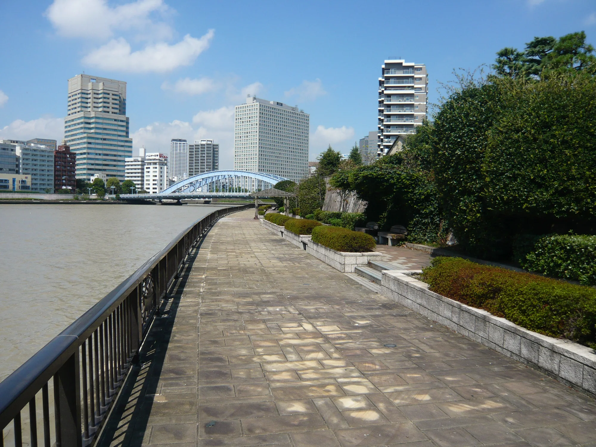 永代公園の園路と植栽