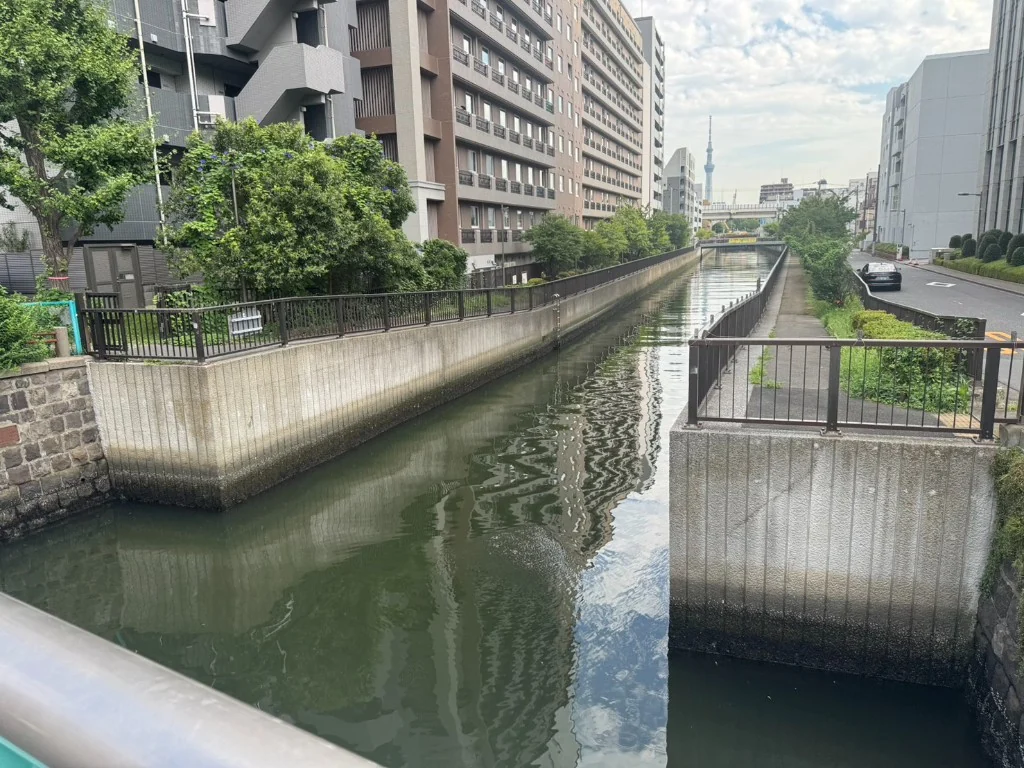 福住と佐賀の間を流れる大島川西支川