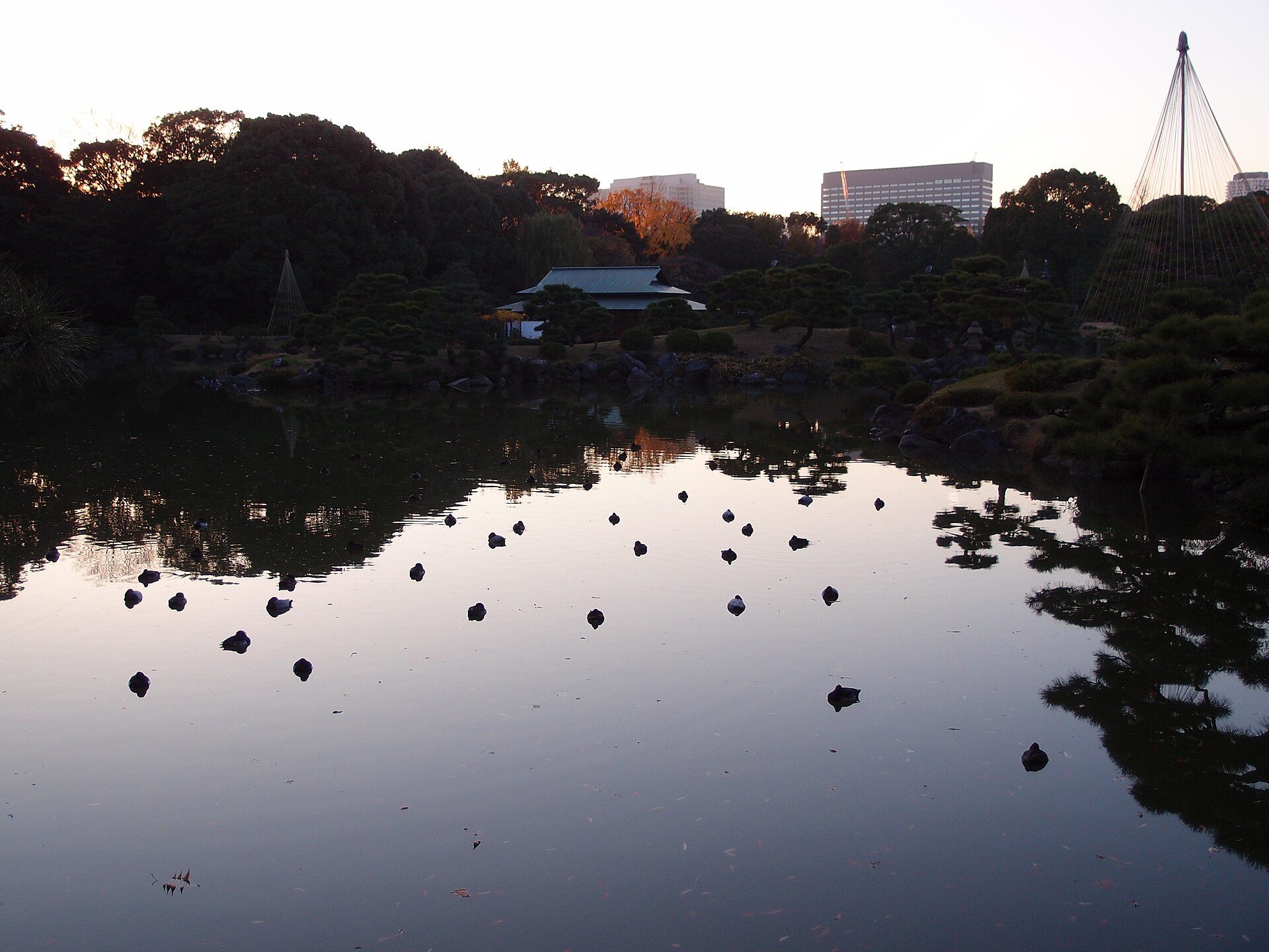 清澄庭園の風景