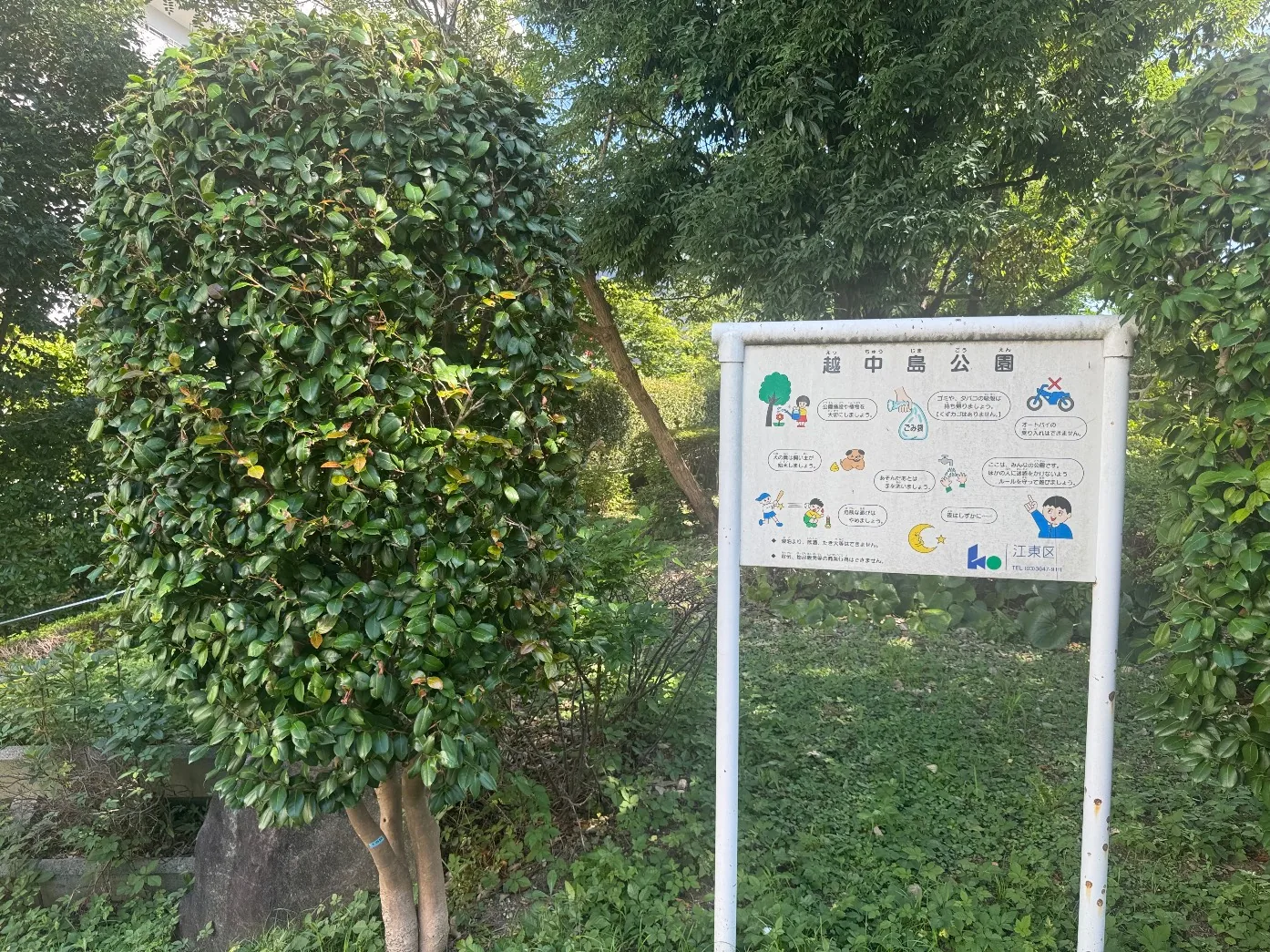 越中島公園と書かれた利用案内板と、刈り込んだ低木
