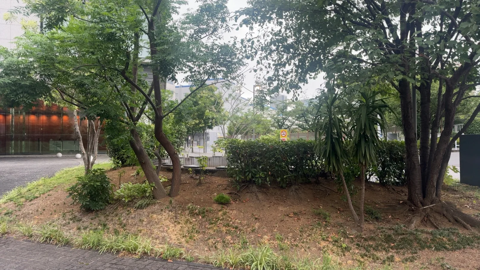 小さな丘に立つ木々と低木、石畳の園路