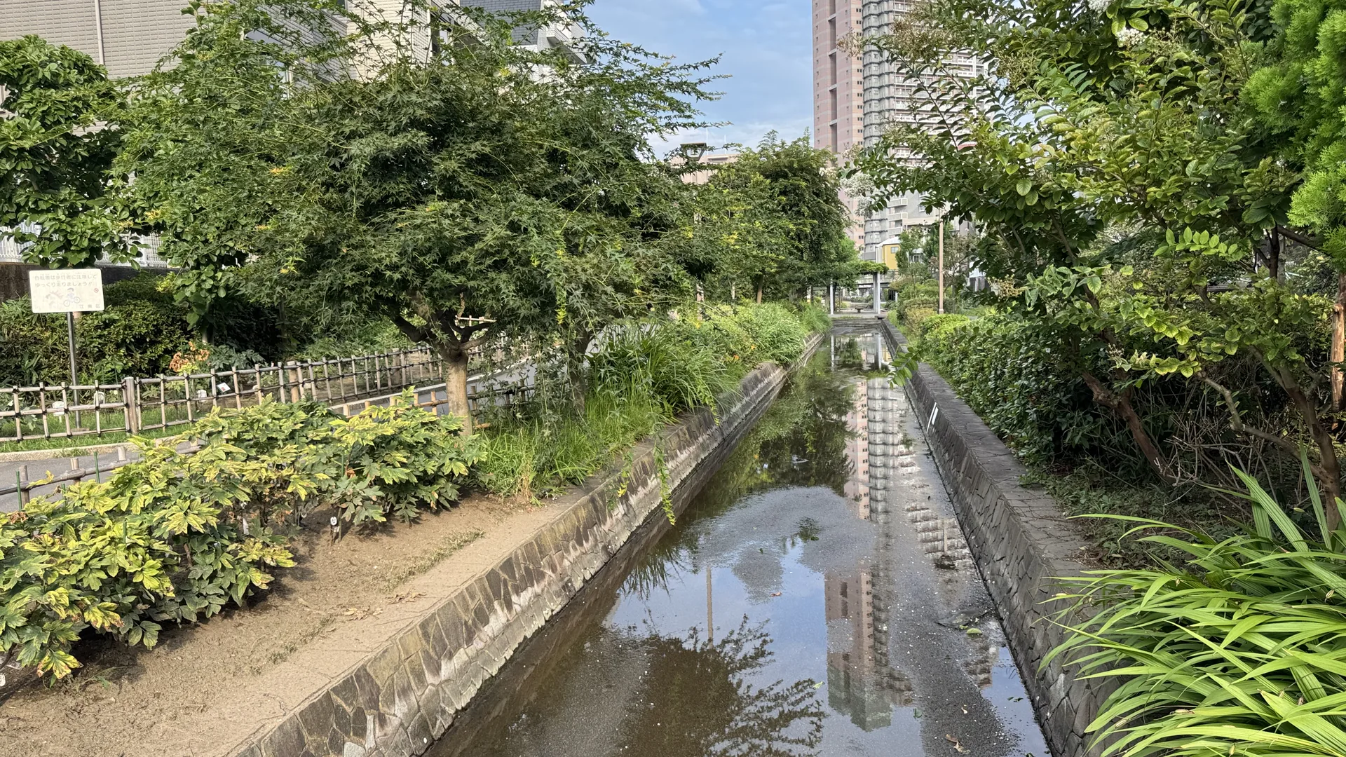 石積みの水路がまっすぐ伸び、水面に空と高層ビルが映る古石場川親水公園