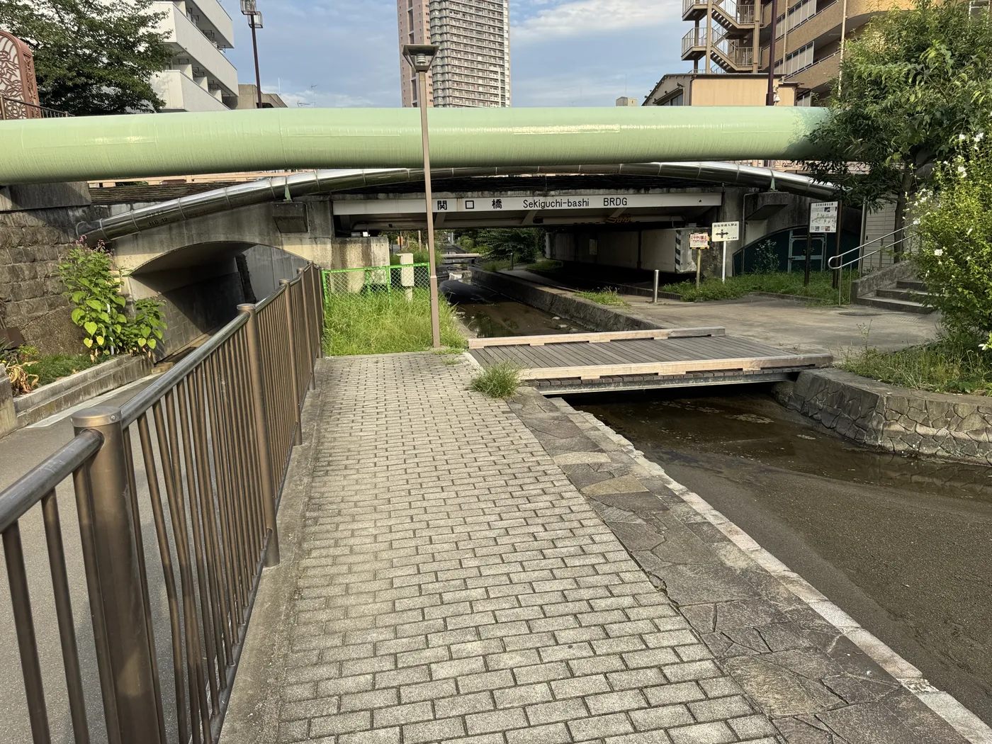 関口橋の下を通る親水園路と木の渡り橋
