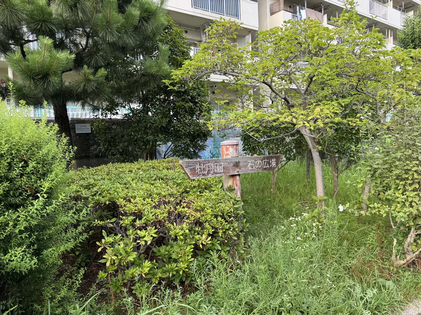 牡丹園と石の広場を示す木製の道標。緑の植栽の中