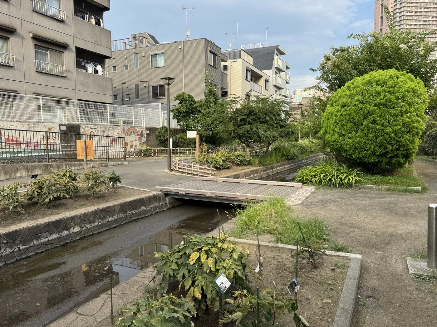 丸く刈り込まれた植栽のそばにある木の渡り橋と水路