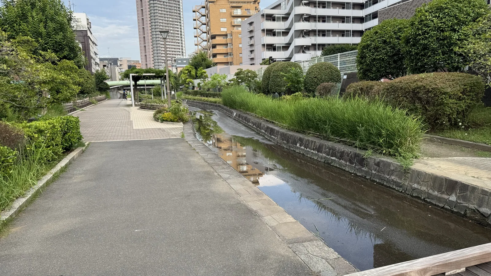 水路と園路が並行し、奥に白いパーゴラが見える親水空間