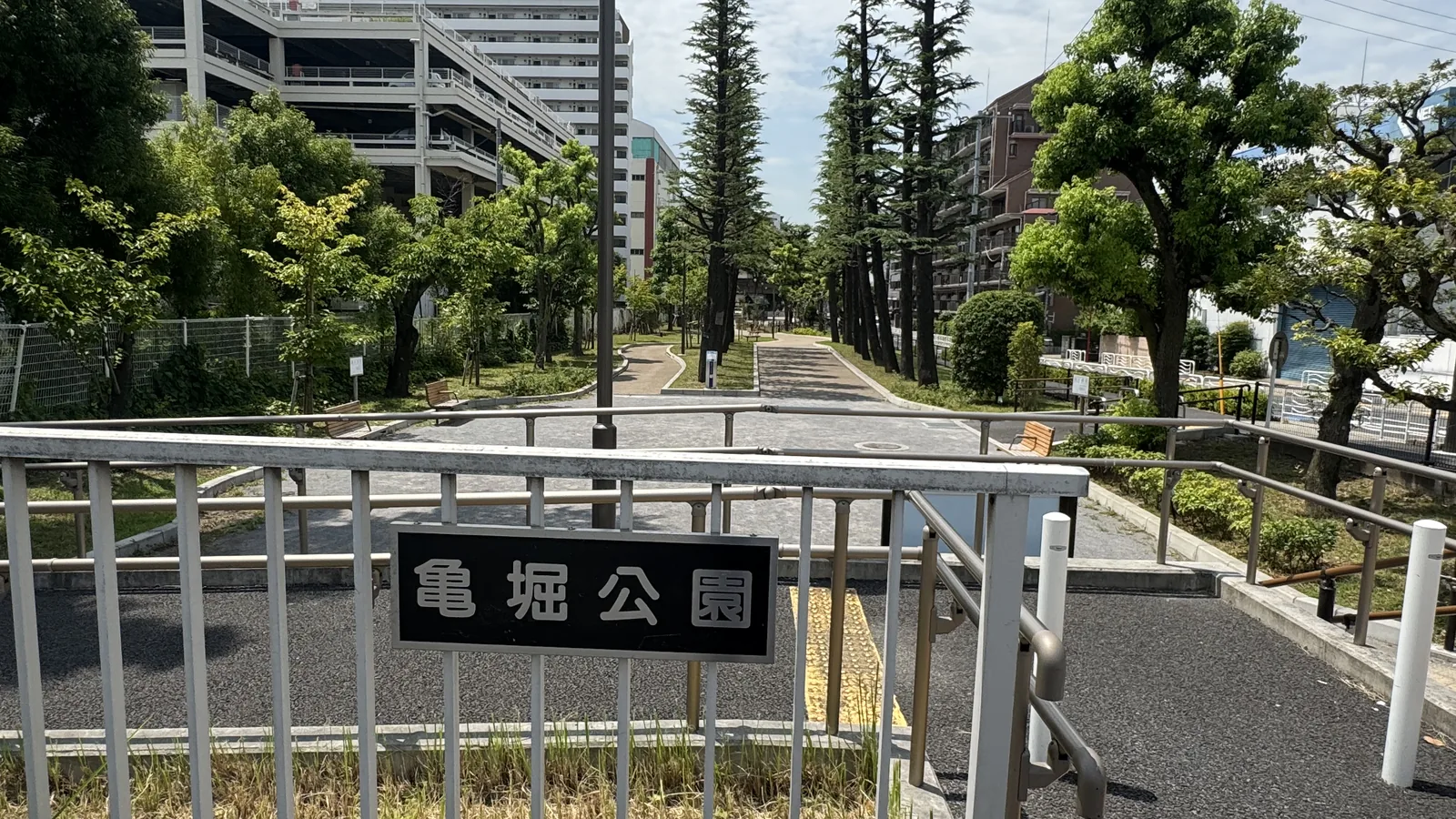高いヒノキの並木が続く亀堀公園の入口園路