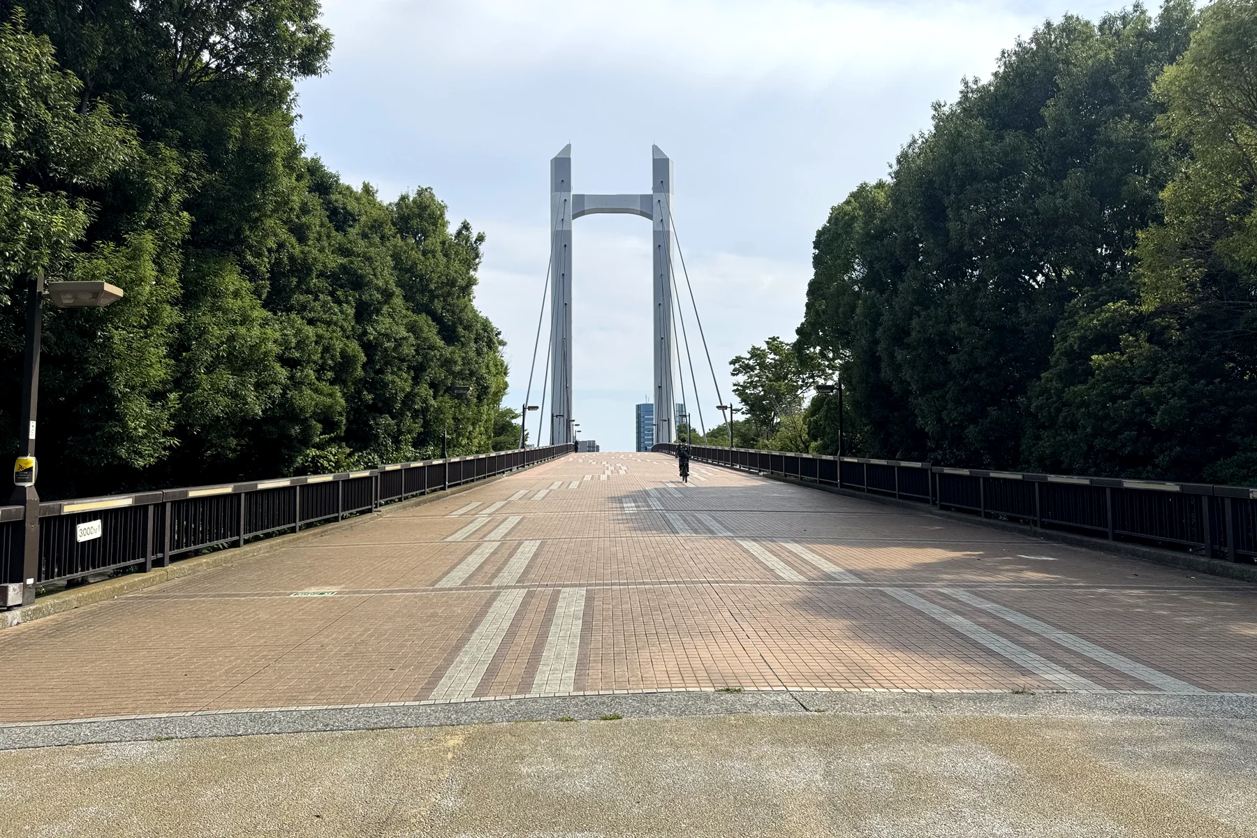木場公園大橋の歩行者デッキ。ケーブルとH型主塔が続く