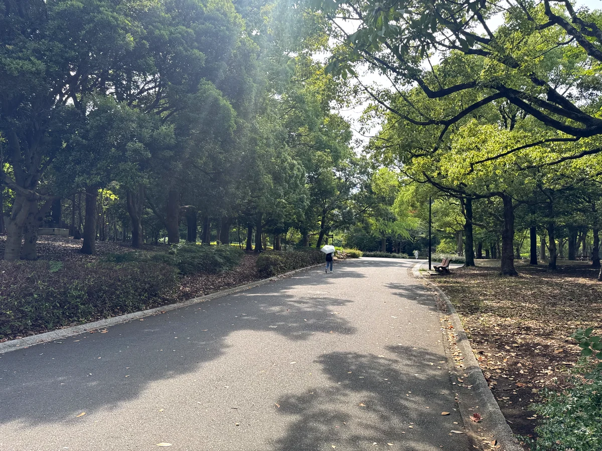 木立に囲まれた園内の遊歩道とベンチ