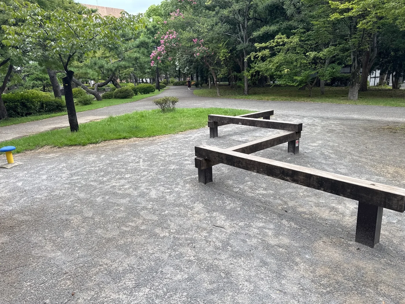 低木製のバランス遊具と園路、サルスベリ