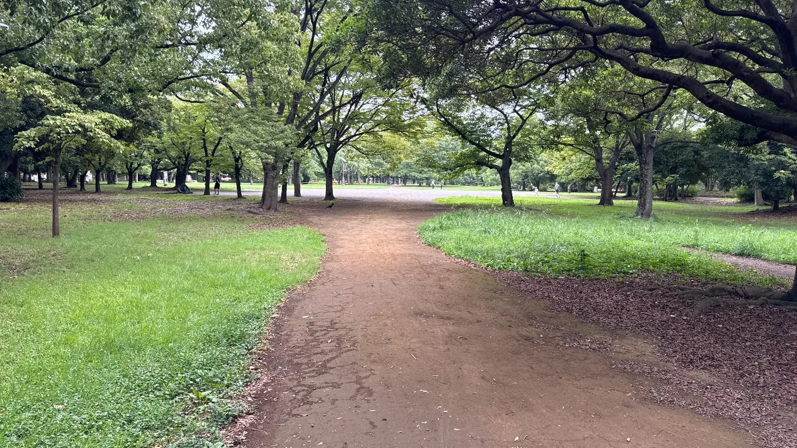 木立の下を進む土の園路。奥に明るい広場が見える