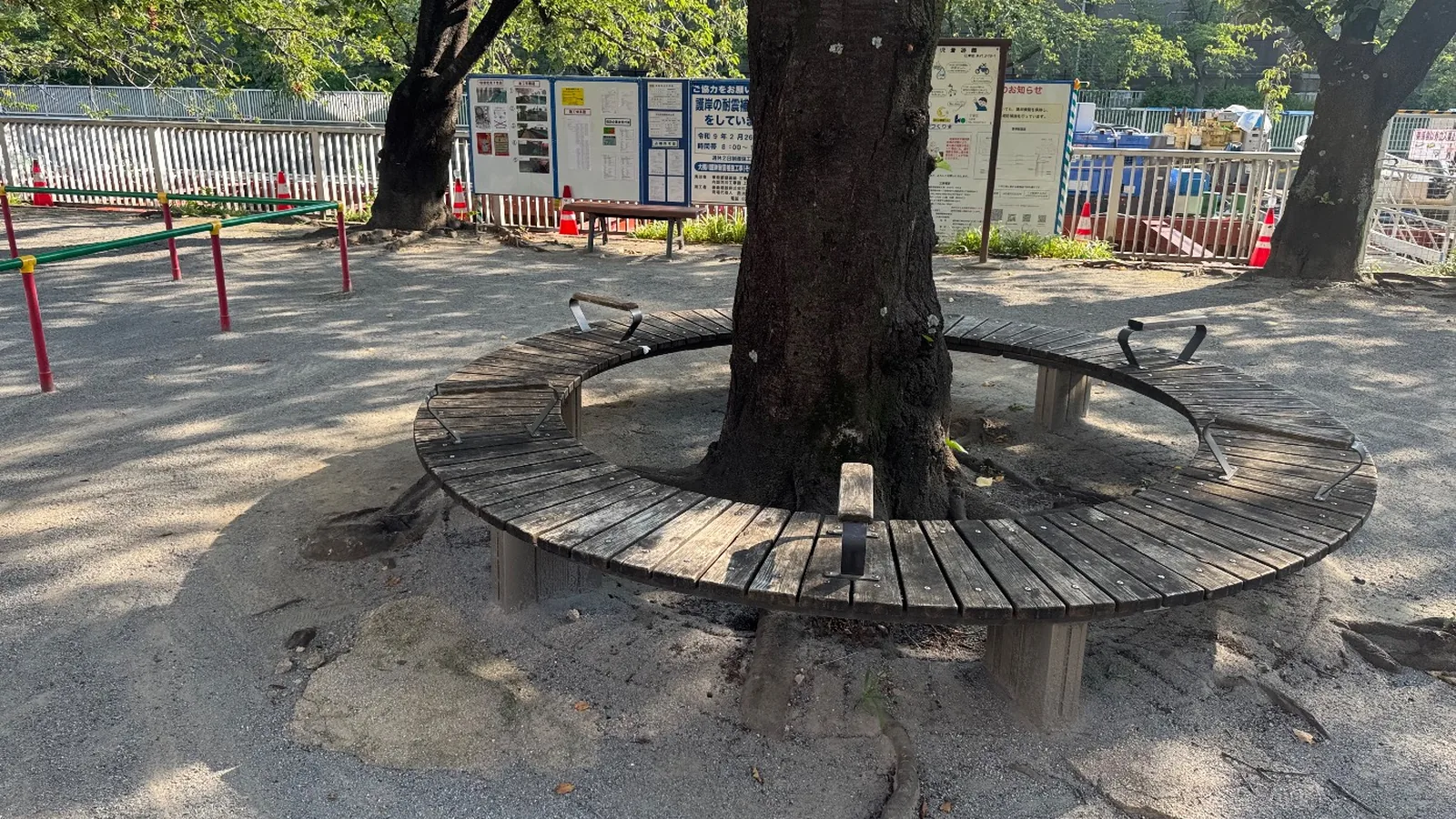 大きな木の根元を囲む円い木製ベンチ