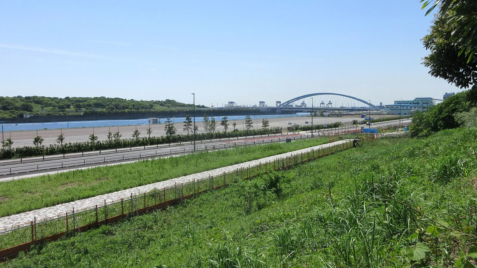 公園内から海の森大橋を望む。2024年5月