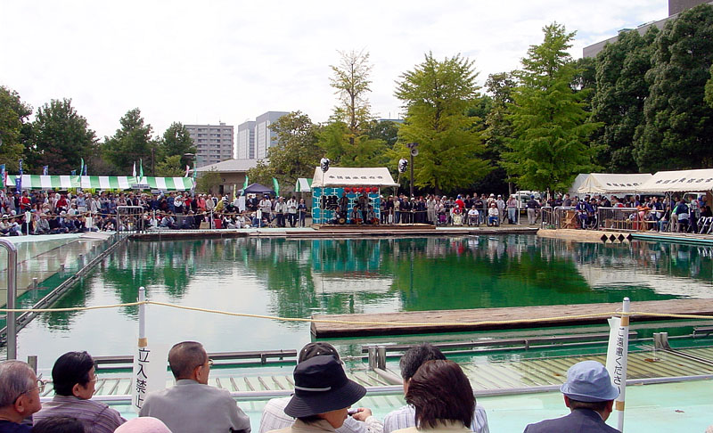 木場公園イベント池での角乗全景