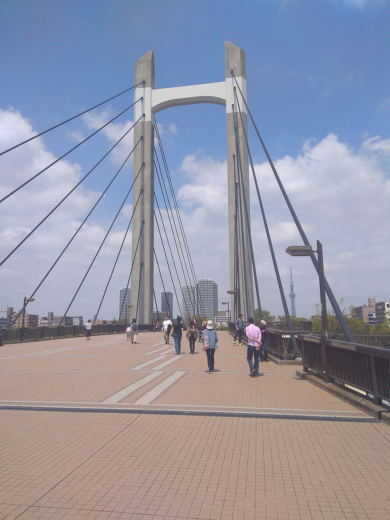 現在の木場公園大橋