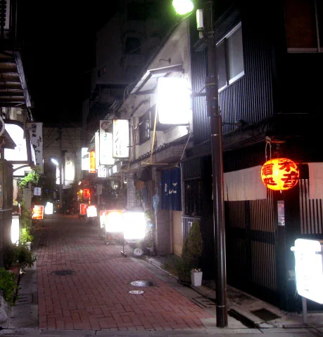 赤提灯が灯る夜の辰巳新道