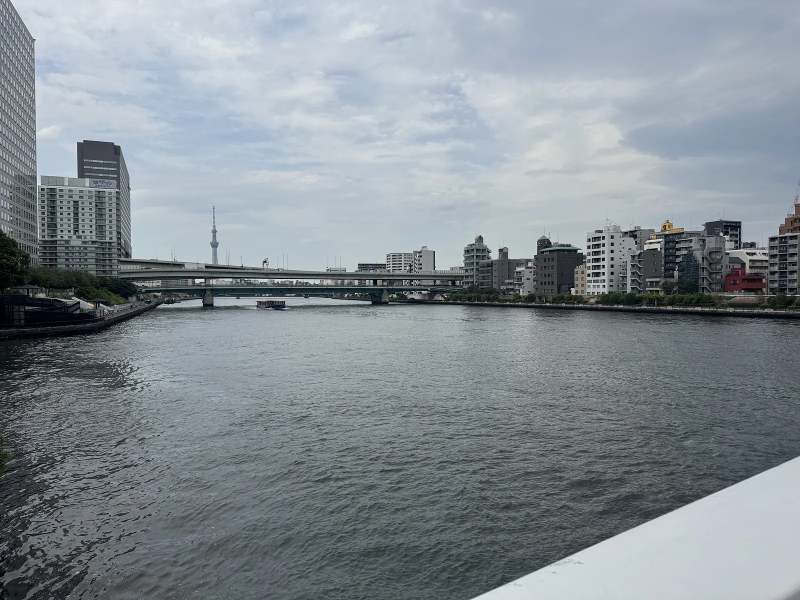 永代橋付近から望む隅田川。対岸の建物と遠くのスカイツリーが見える。