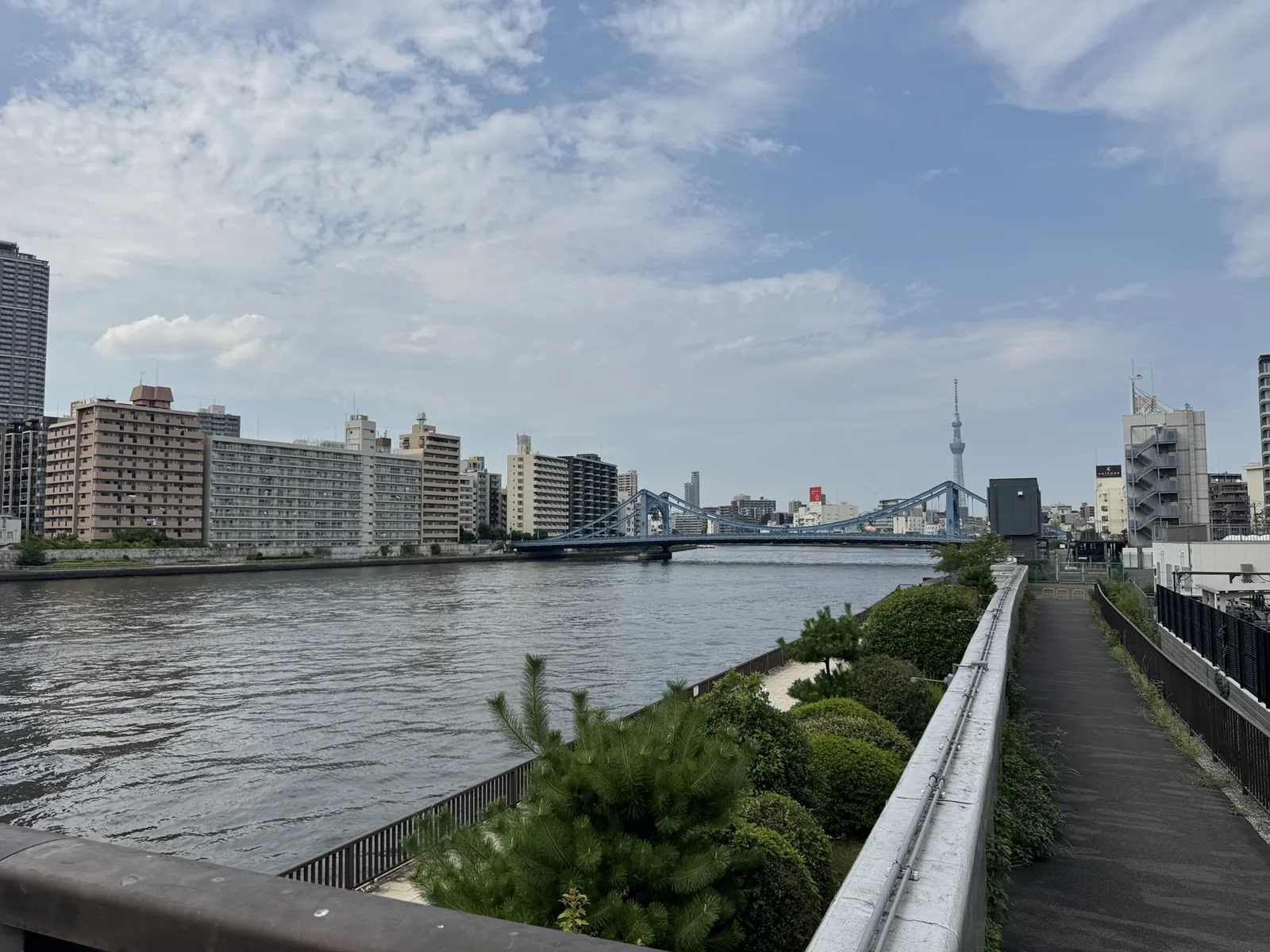 佐賀町側の隅田川テラスから望む川面と対岸の街並み、遠景の橋。
